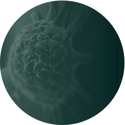 Cancer Cell