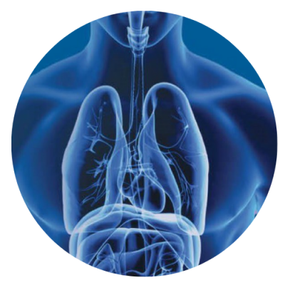 AHCI Thoracic Journal Club 